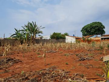 Comprar Terrenos / Lote em Santa Cruz do Rio Pardo R$ 700.000,00 - Foto 6