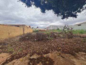 Comprar Terrenos / Lote em Santa Cruz do Rio Pardo R$ 280.000,00 - Foto 2