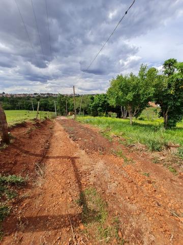 Terrenos / Lote em Santa Cruz do Rio Pardo 