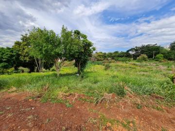 Comprar Terrenos / Lote em Santa Cruz do Rio Pardo R$ 280.000,00 - Foto 4