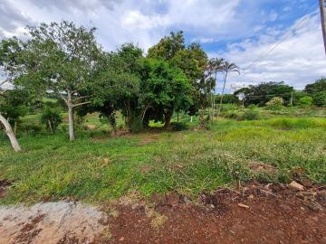 Comprar Terrenos / Lote em Santa Cruz do Rio Pardo R$ 280.000,00 - Foto 8