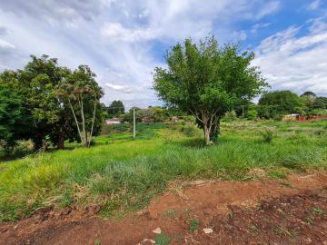 Comprar Terrenos / Lote em Santa Cruz do Rio Pardo R$ 280.000,00 - Foto 11