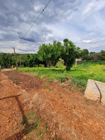 Comprar Terrenos / Lote em Santa Cruz do Rio Pardo R$ 280.000,00 - Foto 12