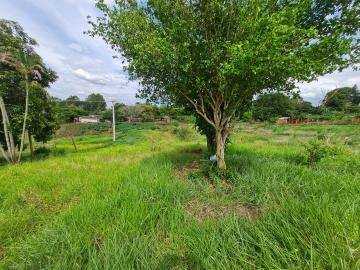 Comprar Terrenos / Lote em Santa Cruz do Rio Pardo R$ 280.000,00 - Foto 14