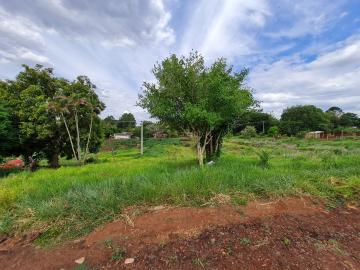 Comprar Terrenos / Lote em Santa Cruz do Rio Pardo R$ 280.000,00 - Foto 15