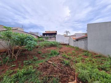 Comprar Terrenos / Lote em Santa Cruz do Rio Pardo R$ 155.000,00 - Foto 4