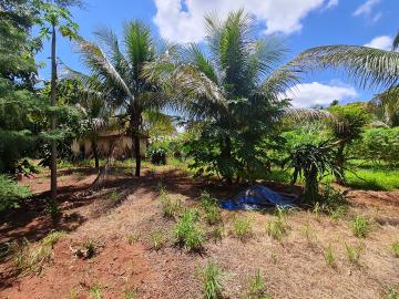 Comprar Rurais / Chácara em Santa Cruz do Rio Pardo R$ 1.500.000,00 - Foto 4