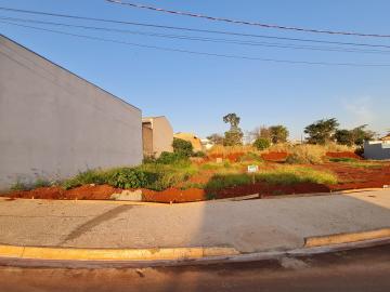 Comprar Terrenos / Lote em Santa Cruz do Rio Pardo R$ 360.000,00 - Foto 2