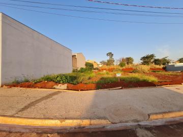 imagem 3 - Terrenos - Lote imagem 3 - Terrenos - Lote