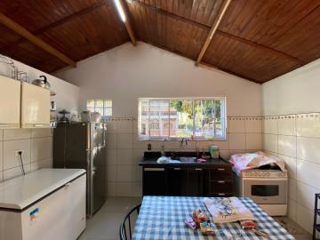 Comprar Rurais / Chácara em Ipaussu R$ 3.800.000,00 - Foto 48