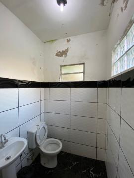Comprar Rurais / Chácara em Ipaussu R$ 3.800.000,00 - Foto 55