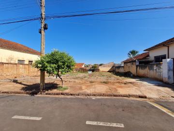 Alugar Terrenos / Lote em Santa Cruz do Rio Pardo R$ 1.800,00 - Foto 3
