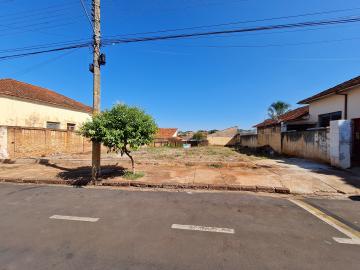 Alugar Terrenos / Lote em Santa Cruz do Rio Pardo R$ 1.800,00 - Foto 4