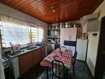 Alugar Residenciais / Casas em Santa Cruz do Rio Pardo R$ 850,00 - Foto 8