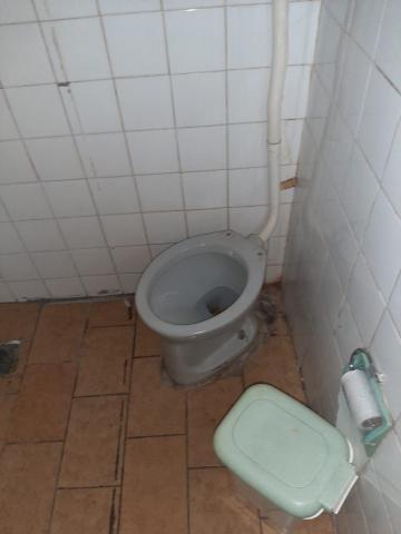 Alugar Comerciais / Galpão em Santa Cruz do Rio Pardo R$ 850,00 - Foto 7