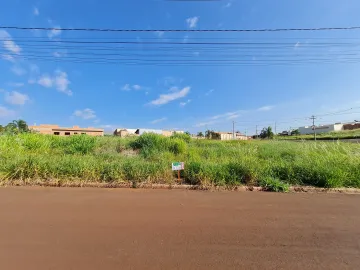 Terrenos / Lote em Santa Cruz do Rio Pardo , Comprar por R$150.000,00