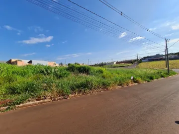Comprar Terrenos / Lote em Santa Cruz do Rio Pardo R$ 150.000,00 - Foto 2