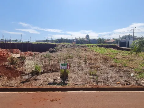 Terrenos / Lote em Santa Cruz do Rio Pardo 