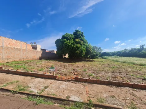 Terrenos / Lote em Santa Cruz do Rio Pardo 