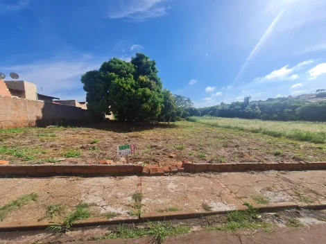 Comprar Terrenos / Lote em Santa Cruz do Rio Pardo R$ 600.000,00 - Foto 2