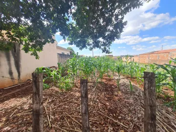 Comprar Terrenos / Lote em Santa Cruz do Rio Pardo R$ 135.000,00 - Foto 3