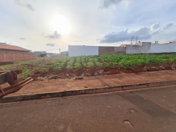 imagem 2 - Terrenos - Lote imagem 2 - Terrenos - Lote