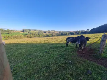 imagem 5 - Rurais - Chácara imagem 5 - Rurais - Chácara