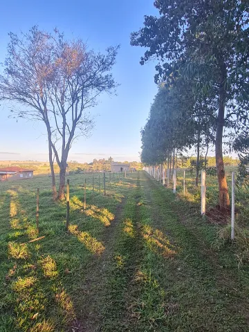 Rurais / Chácara em São Pedro do Turvo 