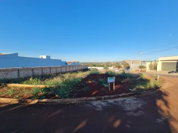 Terrenos / Lote em Santa Cruz do Rio Pardo 