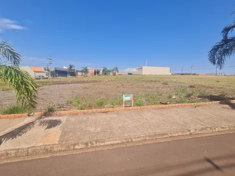 Comprar Terrenos / Lote em Santa Cruz do Rio Pardo R$ 150.000,00 - Foto 3