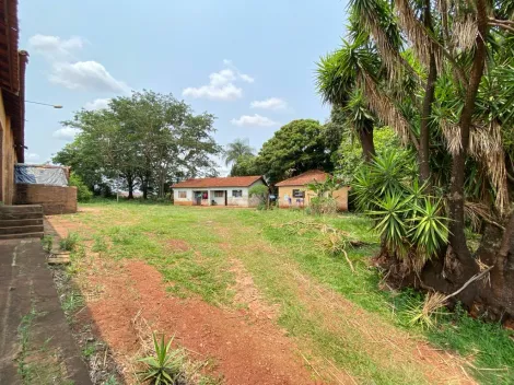 Comprar Comerciais / Galpão em Santa Cruz do Rio Pardo - Foto 8