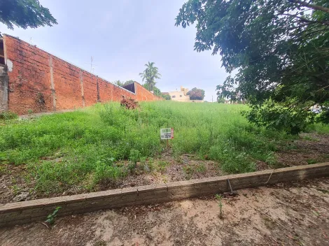 Comprar Terrenos / Lote em Santa Cruz do Rio Pardo R$ 350.000,00 - Foto 2