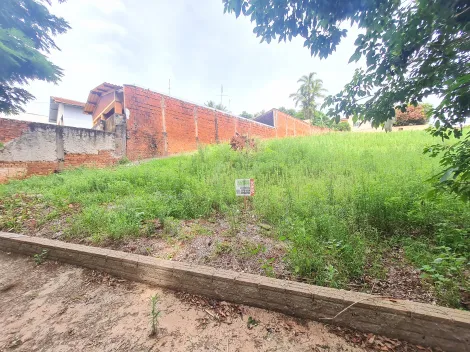 Comprar Terrenos / Lote em Santa Cruz do Rio Pardo R$ 350.000,00 - Foto 3