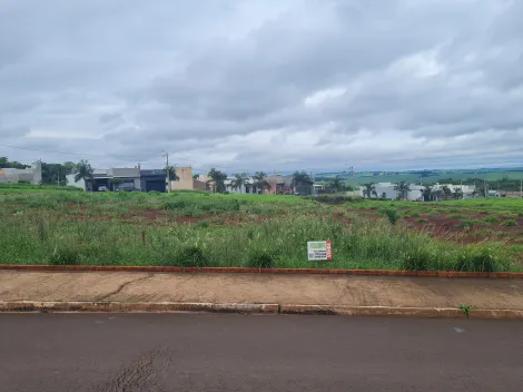 Terrenos / Lote em Santa Cruz do Rio Pardo 