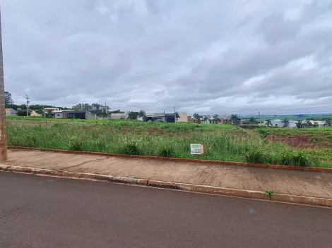 Comprar Terrenos / Lote em Santa Cruz do Rio Pardo R$ 400.000,00 - Foto 2