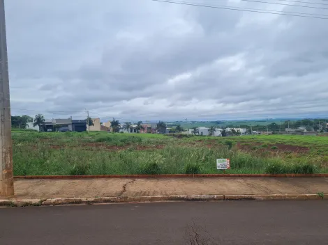 Comprar Terrenos / Lote em Santa Cruz do Rio Pardo R$ 450.000,00 - Foto 3