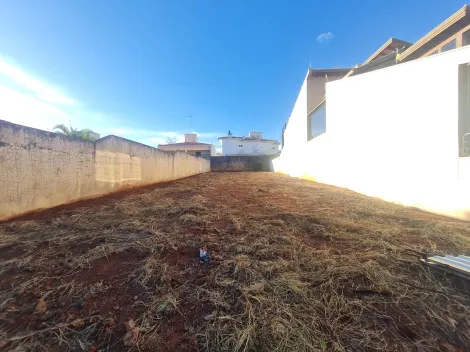 Comprar Terrenos / Lote em Santa Cruz do Rio Pardo R$ 385.000,00 - Foto 2