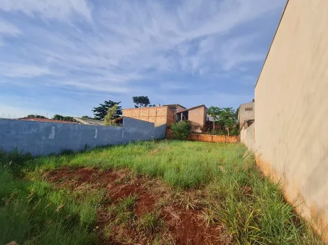 imagem 5 - Terrenos - Lote imagem 5 - Terrenos - Lote