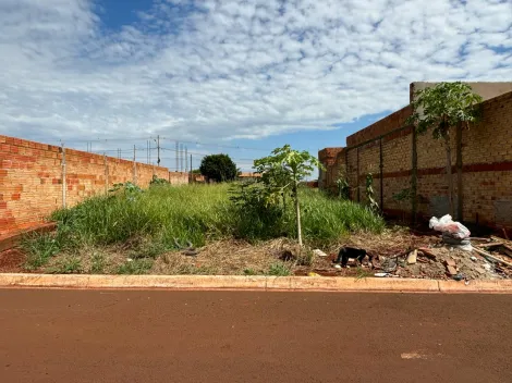 Terrenos / Lote em Santa Cruz do Rio Pardo 