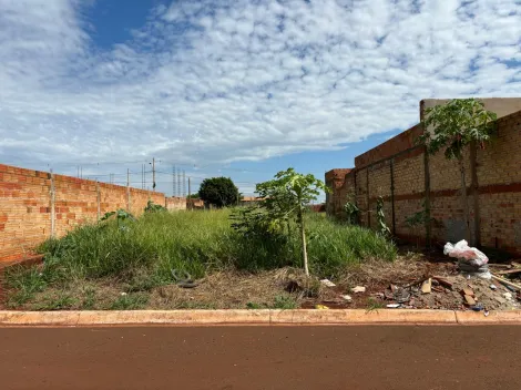 Comprar Terrenos / Lote em Santa Cruz do Rio Pardo R$ 60.000,00 - Foto 2
