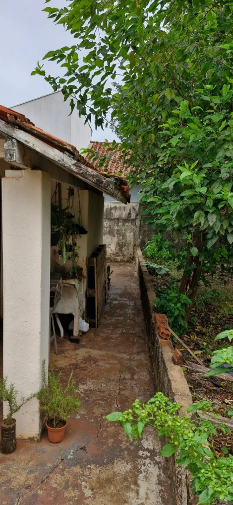 Comprar Residenciais / Casas em Santa Cruz do Rio Pardo R$ 270.000,00 - Foto 5