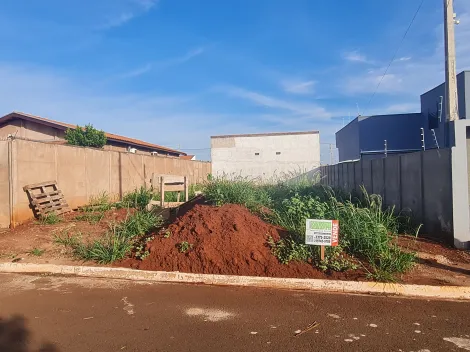 Terrenos / Lote em Santa Cruz do Rio Pardo 