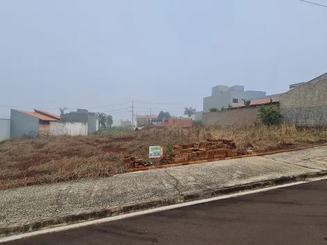 Comprar Terrenos / Lote em Santa Cruz do Rio Pardo R$ 110.000,00 - Foto 3