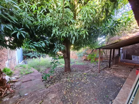 Alugar Comerciais / Galpão em Santa Cruz do Rio Pardo R$ 1.200,00 - Foto 4