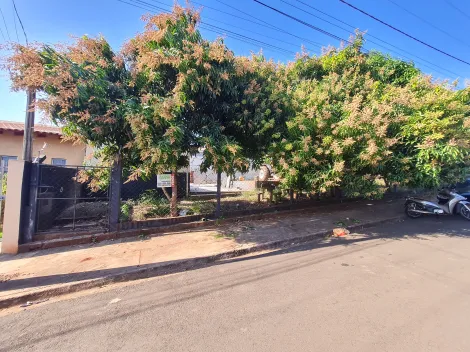 Comprar Terrenos / Lote em Santa Cruz do Rio Pardo R$ 135.000,00 - Foto 1