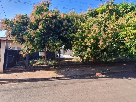 Comprar Terrenos / Lote em Santa Cruz do Rio Pardo R$ 135.000,00 - Foto 2