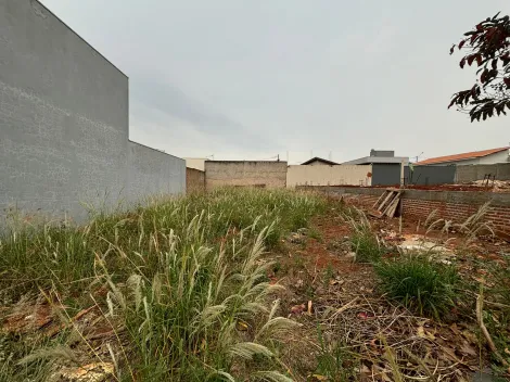 imagem 3 - Terrenos - Lote imagem 3 - Terrenos - Lote