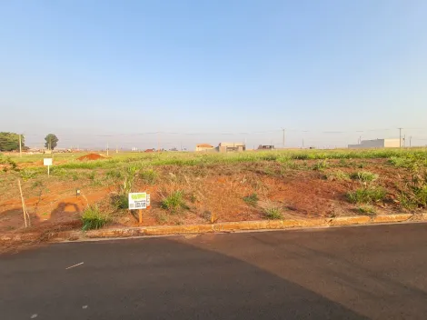 Terrenos / Lote em Santa Cruz do Rio Pardo , Comprar por R$31.000,00