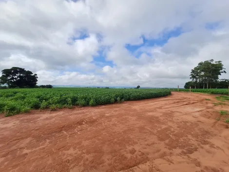 imagem 1 - Rurais - Sitio imagem 1 - Rurais - Sitio