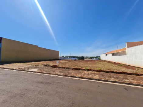 imagem 2 - Terrenos - Lote imagem 2 - Terrenos - Lote